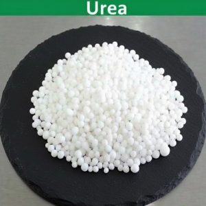 Urea 46%
